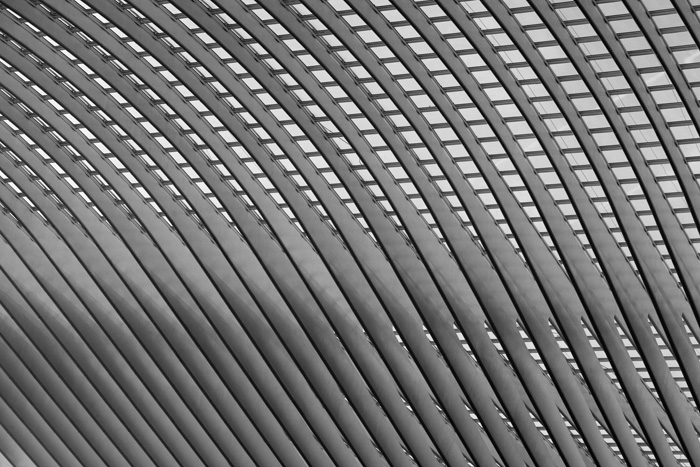 Liège-Guillemins TGV-Bahnhof (Calatrava 2009) Dachgebälk in der Haupthalle
